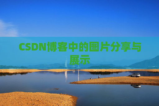 CSDN博客中的图片分享与展示